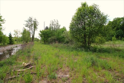Działka budowlana na sprzedaż Santoczno 5 400m2 Foto 6