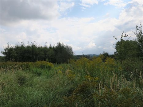 Działka inna na sprzedaż Kobylnica, Łąkowa 1 082m2 Foto 3