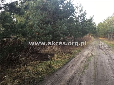 Działka budowlana na sprzedaż Łoś, Łoś 1 000m2 Foto 6