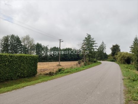 Działka budowlana na sprzedaż Majdan Krasieniński 2 100m2 Foto 2