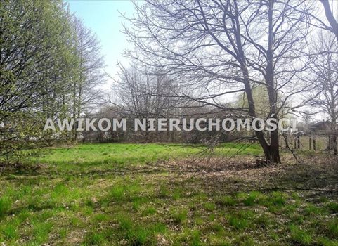 Działka budowlana na sprzedaż Jaktorów 4 500m2 Foto 7
