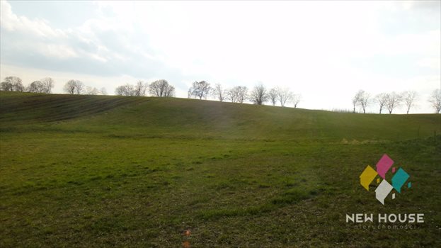Działka budowlana na sprzedaż Wipsowo 12 500m2 Foto 3