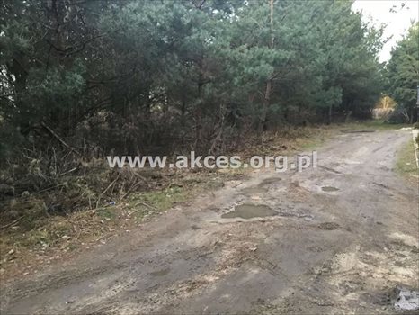 Działka budowlana na sprzedaż Łoś, Łoś 1 900m2 Foto 2