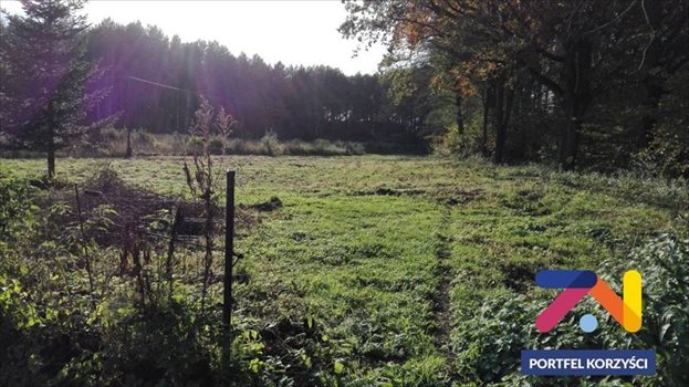 Działka budowlana na sprzedaż Droszków 2 868m2 Foto 2