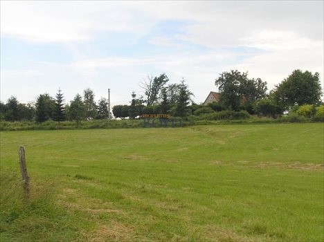Działka budowlana na sprzedaż Stary Wielisław, Wybickiego 1 977m2 Foto 4