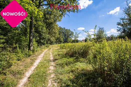 Działka budowlana na sprzedaż Rzeszów, Jana Wąsacza 36m2 Foto 8
