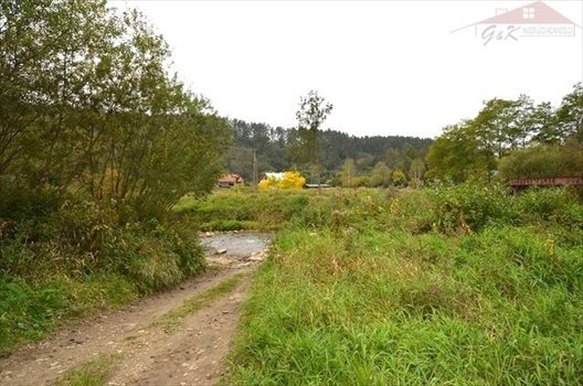 Działka rekreacyjna na sprzedaż Rybotycze 1 400m2 Foto 4