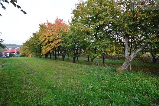 Działka rekreacyjna na sprzedaż Żurawica 1 500m2 Foto 4