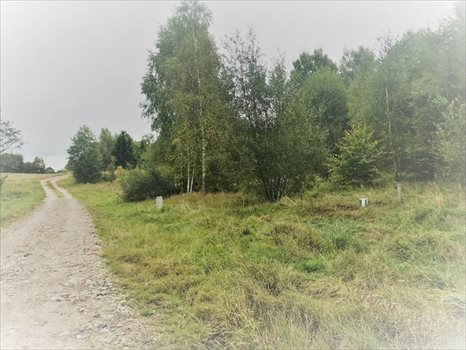 Działka budowlana na sprzedaż Charzykowy, Droga pod Strzechę 1 945m2 Foto 5