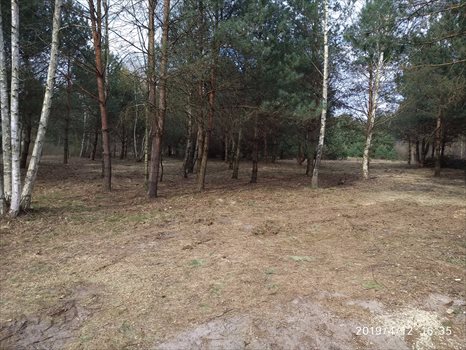 Działka budowlana na sprzedaż Jasienica, Jasienica 1 200m2 Foto 5
