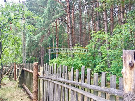 Działka rolna na sprzedaż Brok 58 900m2 Foto 11