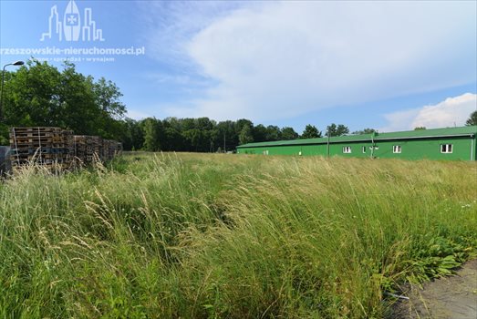 Działka inna pod dzierżawę Dąbrówki, Dąbrówki 6 000m2 Foto 2
