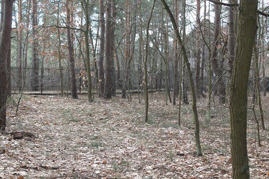 Działka budowlana na sprzedaż Warszawa, Wawer, Izbicka/Koprowa 2 274m2 Foto 4