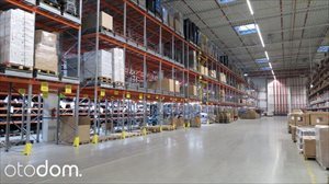 Lokal użytkowy na wynajem Pruszcz Gdański, Juszkowo 4 000m2 Foto 2