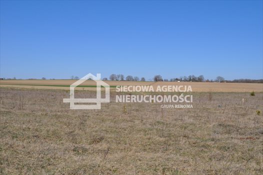 Działka budowlana na sprzedaż Tokary 1 052m2 Foto 8