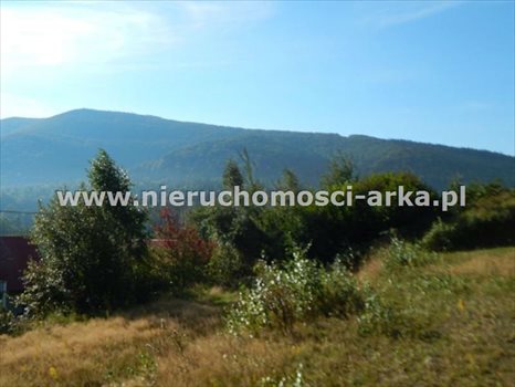 Działka budowlana na sprzedaż Mszana Dolna 1 531m2 Foto 4