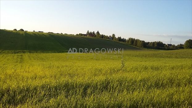 Dom na sprzedaż Drzewce-Kolonia 92m2 Foto 4