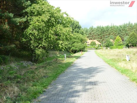 Działka budowlana na sprzedaż Wołczkowo 3 000m2 Foto 7