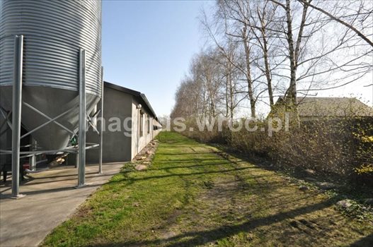 Działka inwestycyjna na sprzedaż Groblice 9 024m2 Foto 2