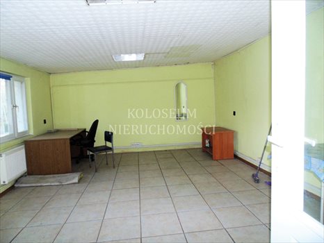 Lokal użytkowy na sprzedaż Łysomice 12 900m2 Foto 4
