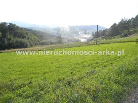 Działka budowlana na sprzedaż Limanowa, Sowliny 3 400m2 Foto 1