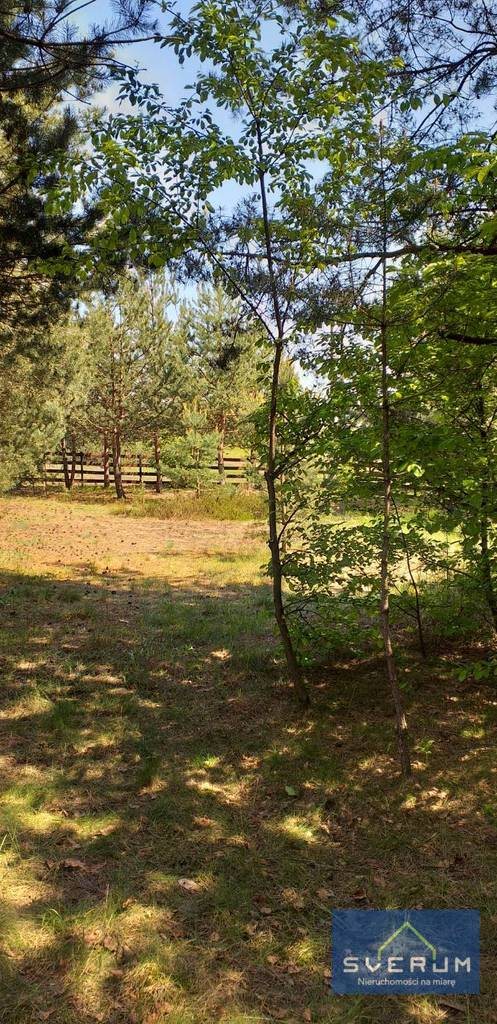 Działka rekreacyjna na sprzedaż Skowronów 854m2 Foto 4