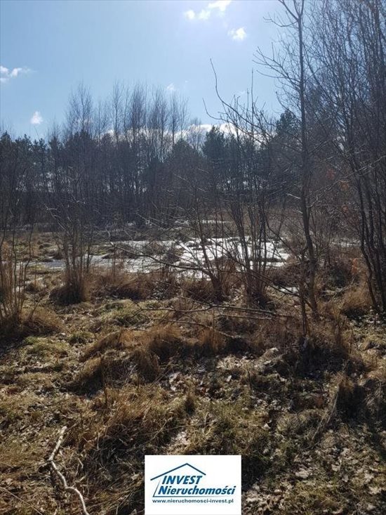 Działka inna na sprzedaż Nowęcin, Jezioro, Las, Tereny rekreacyjne 1 720m2 Foto 3