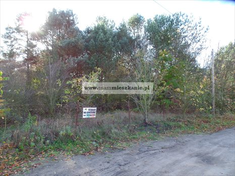 Działka budowlana na sprzedaż Bydgoszcz, Smukała Górna 1 101m2 Foto 7