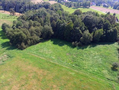 Działka budowlana na sprzedaż Krzyszkowice 1 275m2 Foto 3