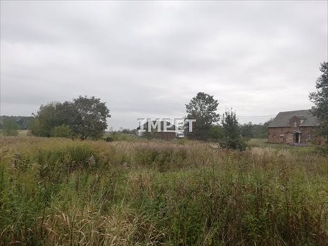 Działka inna na sprzedaż Trójca 1 859m2 Foto 7