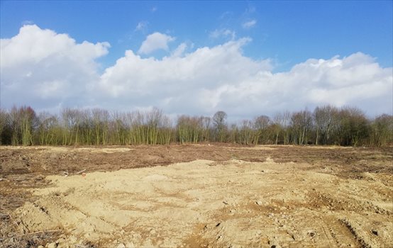 Działka inwestycyjna na sprzedaż Police, Fabryczna 16 959m2 Foto 5
