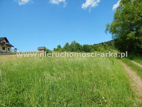 Działka budowlana na sprzedaż Kasina Wielka 1 500m2 Foto 5