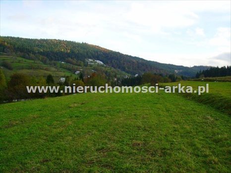 Działka budowlana na sprzedaż Lubomierz 2 000m2 Foto 5