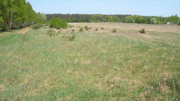 Działka budowlana na sprzedaż Sulejów, Sulejów, Ustronna 1 000m2 Foto 7