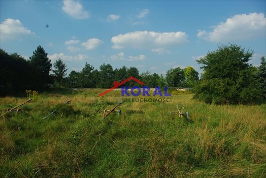 Działka budowlana na sprzedaż Tarnowskie Góry, Sowice, Korczaka 3 988m2 Foto 11