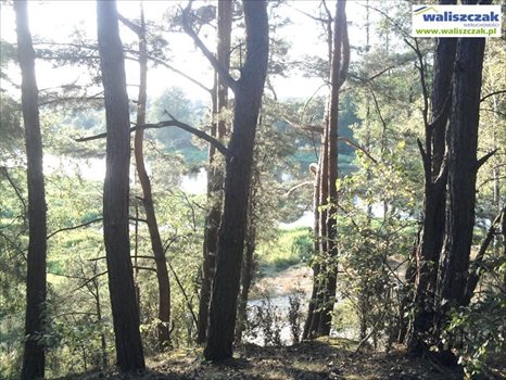 Działka rekreacyjna na sprzedaż Szarbsko 4 570m2 Foto 2