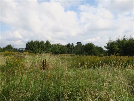 Działka inna na sprzedaż Kobylnica, Łąkowa 1 082m2 Foto 4