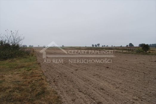 Działka inwestycyjna na sprzedaż Michałówka 20 000m2 Foto 4
