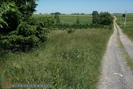 Działka inna na sprzedaż Cianowice Duże 1 061m2 Foto 5