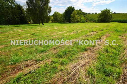 Działka budowlana na sprzedaż Giebułtów, Graniczna 907m2 Foto 4