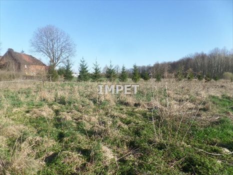 Działka inna na sprzedaż Mała Wieś Dolna 5 100m2 Foto 3