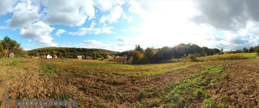 Działka budowlana na sprzedaż Owczary 3 000m2 Foto 1