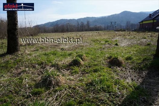 Działka inwestycyjna na sprzedaż Jeleśnia 1 323m2 Foto 1