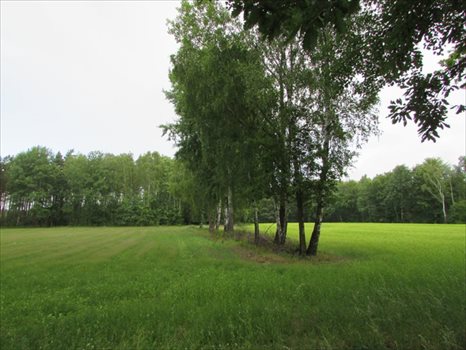 Działka rolna na sprzedaż Łagówek 16 100m2 Foto 3