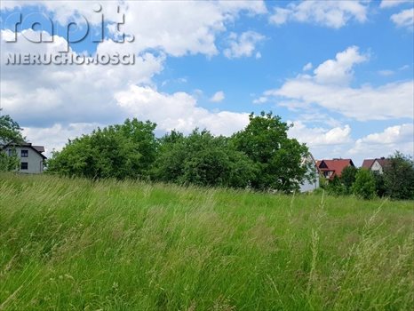 Działka budowlana na sprzedaż Borzęta 2 700m2 Foto 5