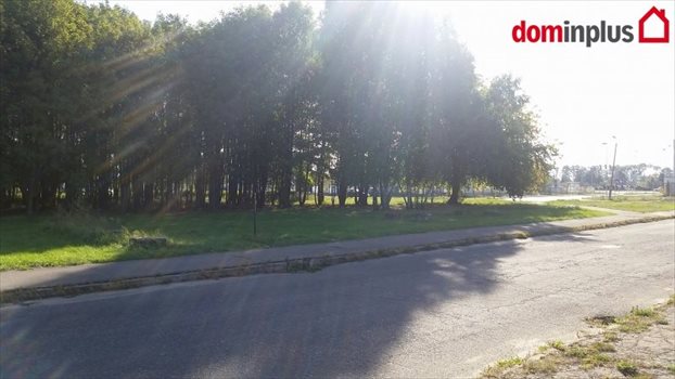 Działka inna na sprzedaż Toruń 1 000 000m2 Foto 3