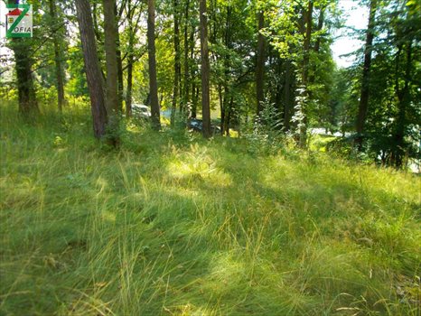 Działka przemysłowo-handlowa na sprzedaż RABKA-ZDRÓJ 1 600m2 Foto 2