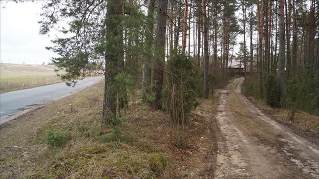 Dom na sprzedaż Dobry Las 110m2 Foto 2