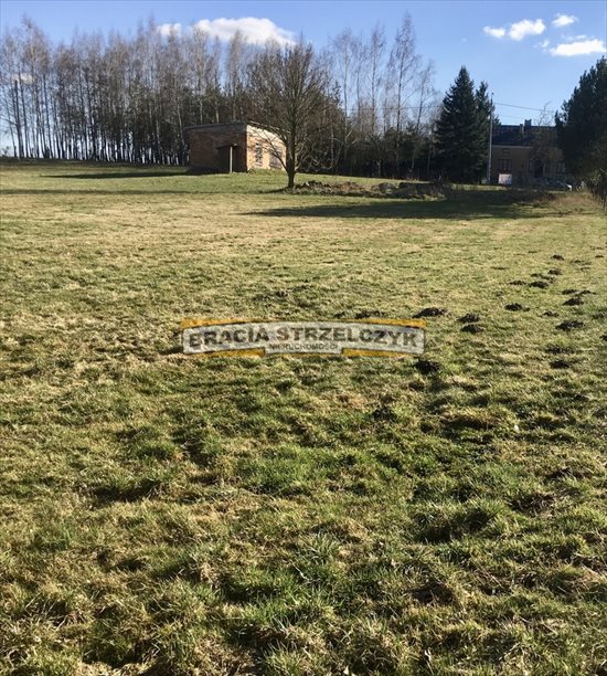 Działka inna na sprzedaż Górka Powielińska 5 500m2 Foto 4