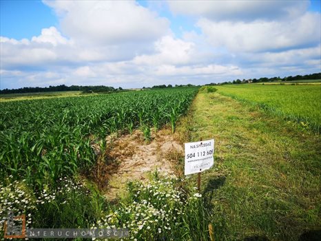 Działka budowlana na sprzedaż Bibice 1 095m2 Foto 4